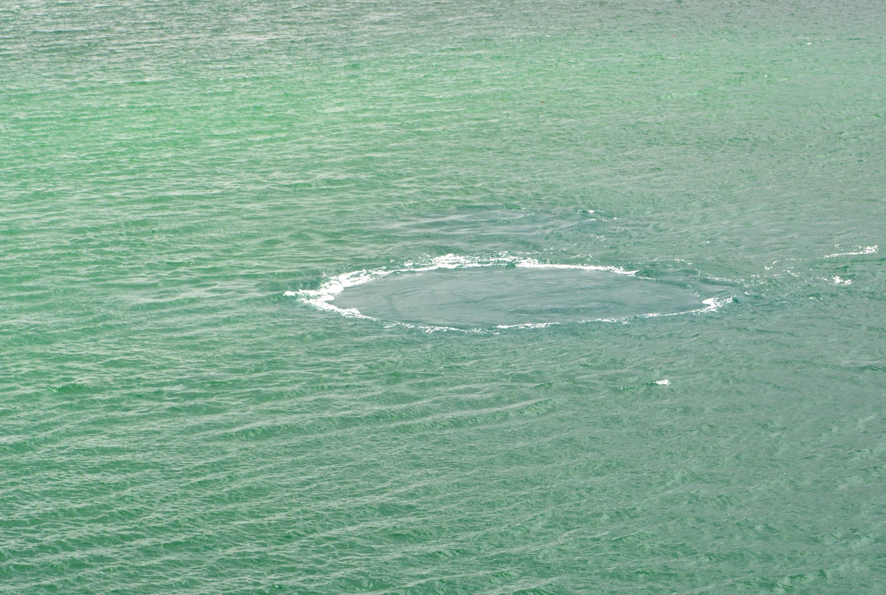 Submarine Quellen in der Bucht von Kotor