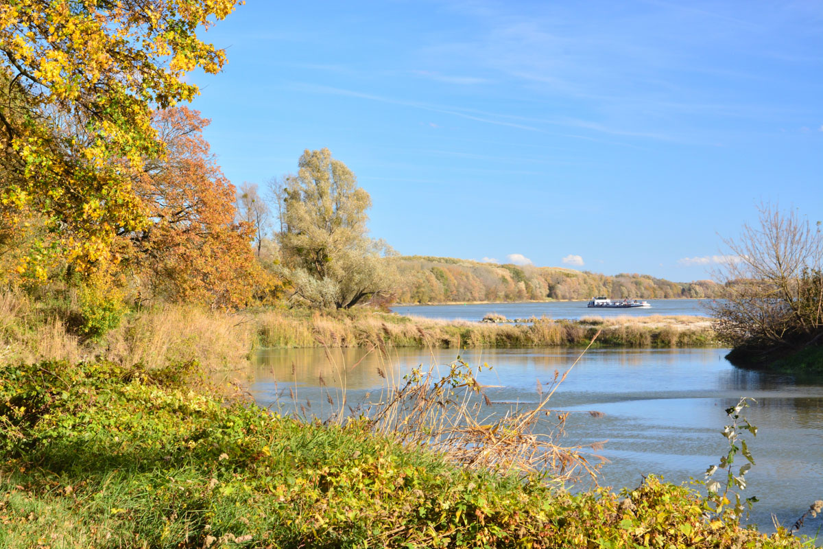 Donau bei Orth