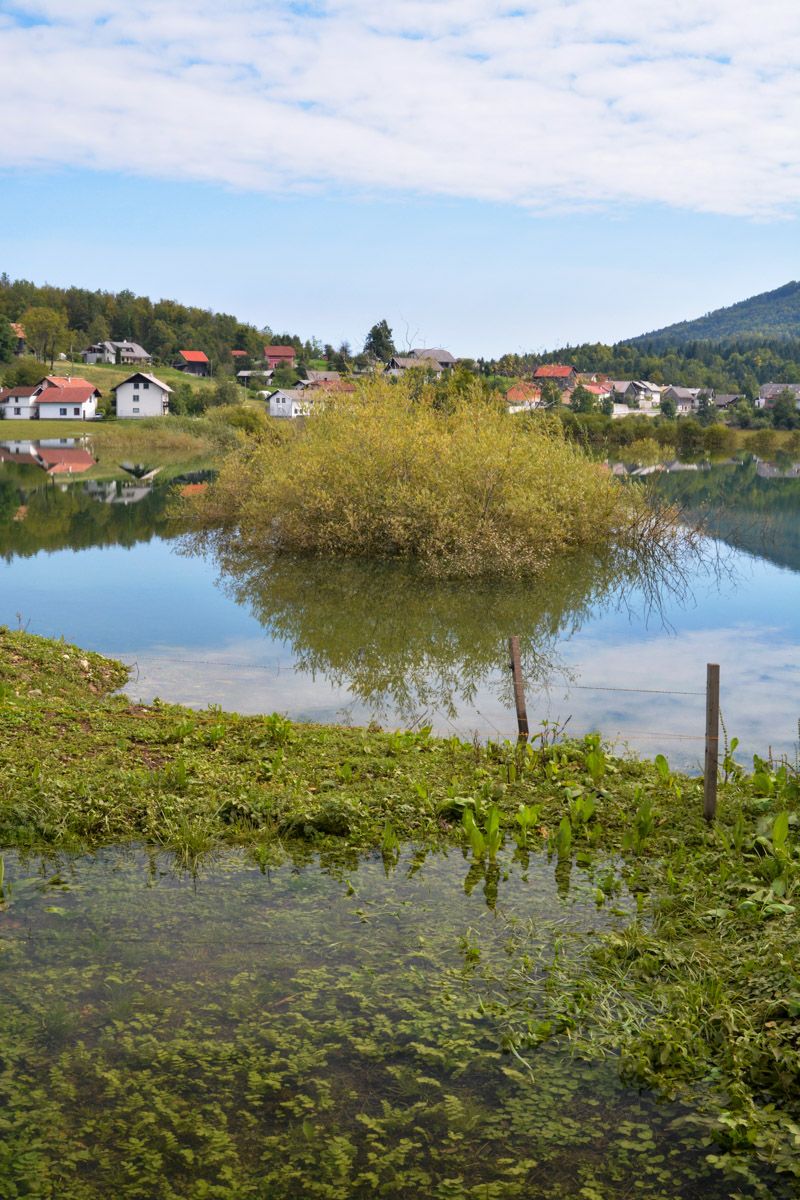 Überschwemmte Rakitnica