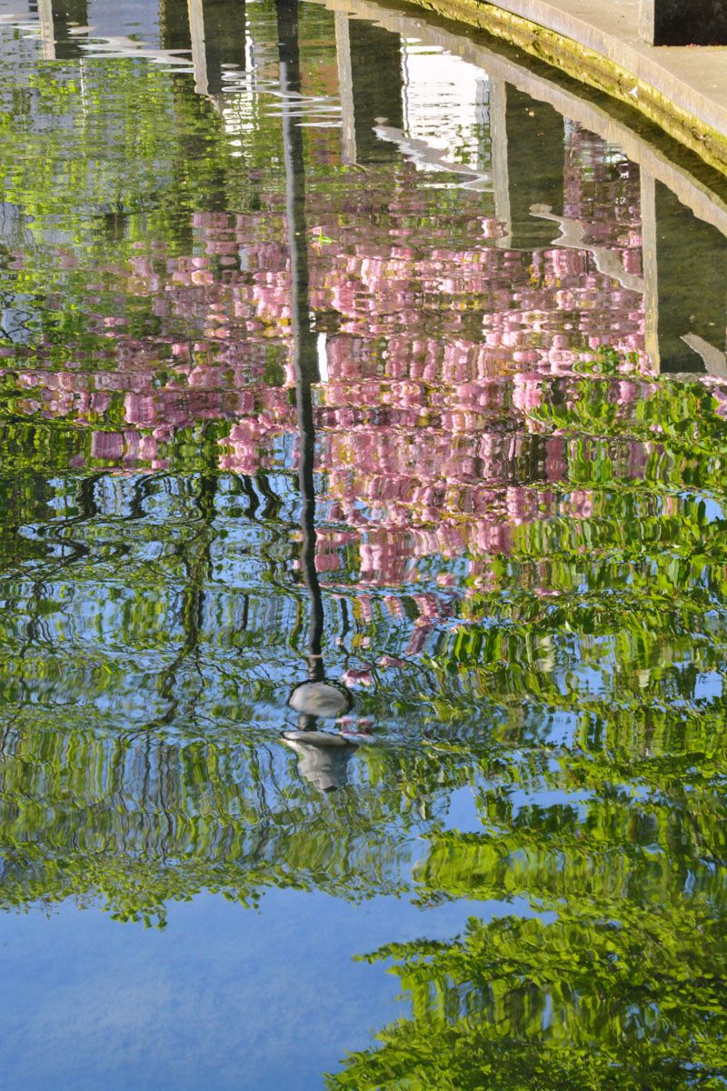 Spiegelung im Geseker Teich