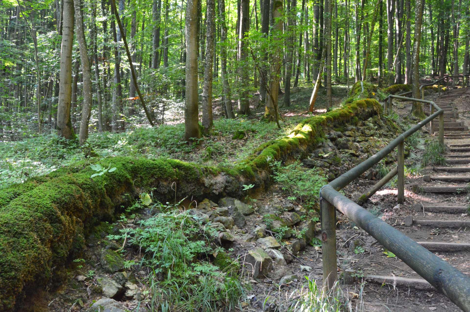 Bild der Quelle Steinerne Rinne Wolfsbronn