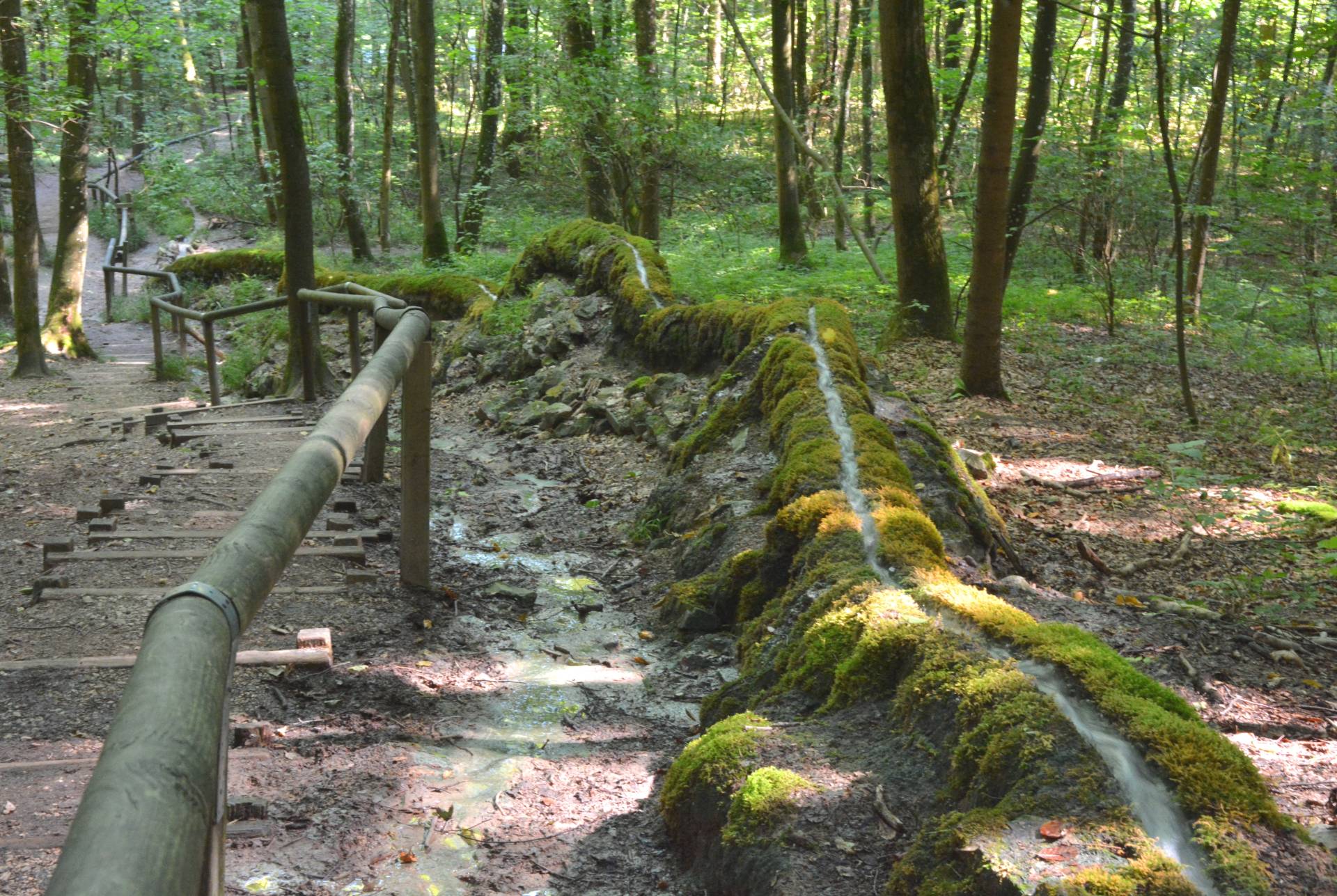 Bild der Quelle Steinerne Rinne Wolfsbronn