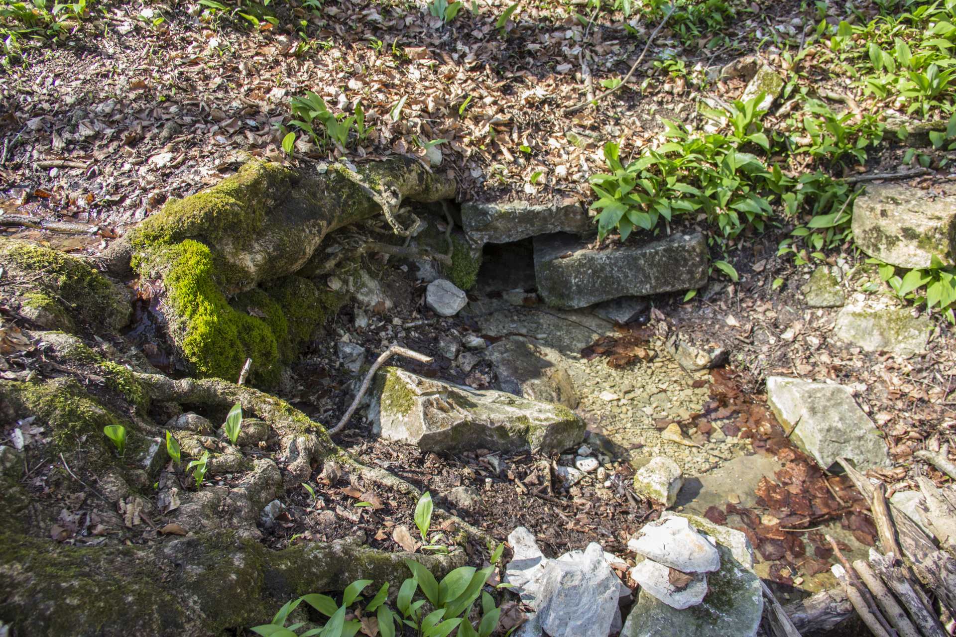 Bild der Quelle Steinerne Rinne Wolfsbronn