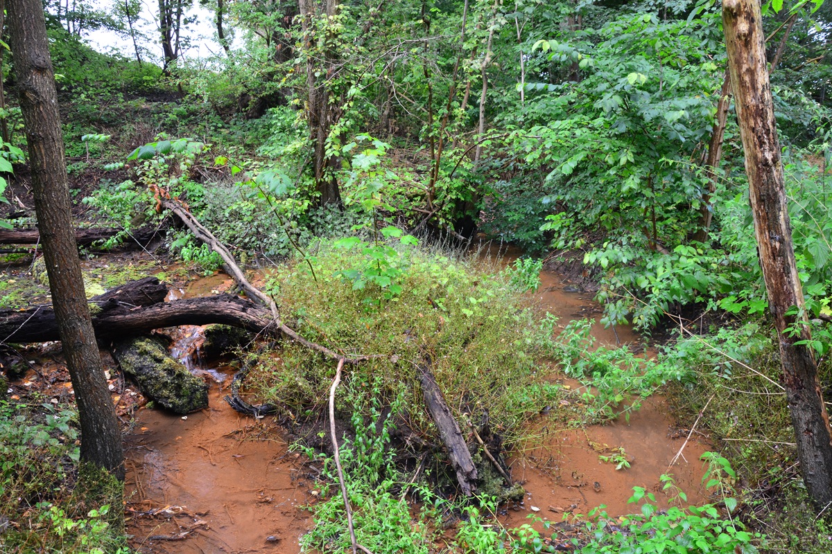 Rode Kilde, Hestemöllegard