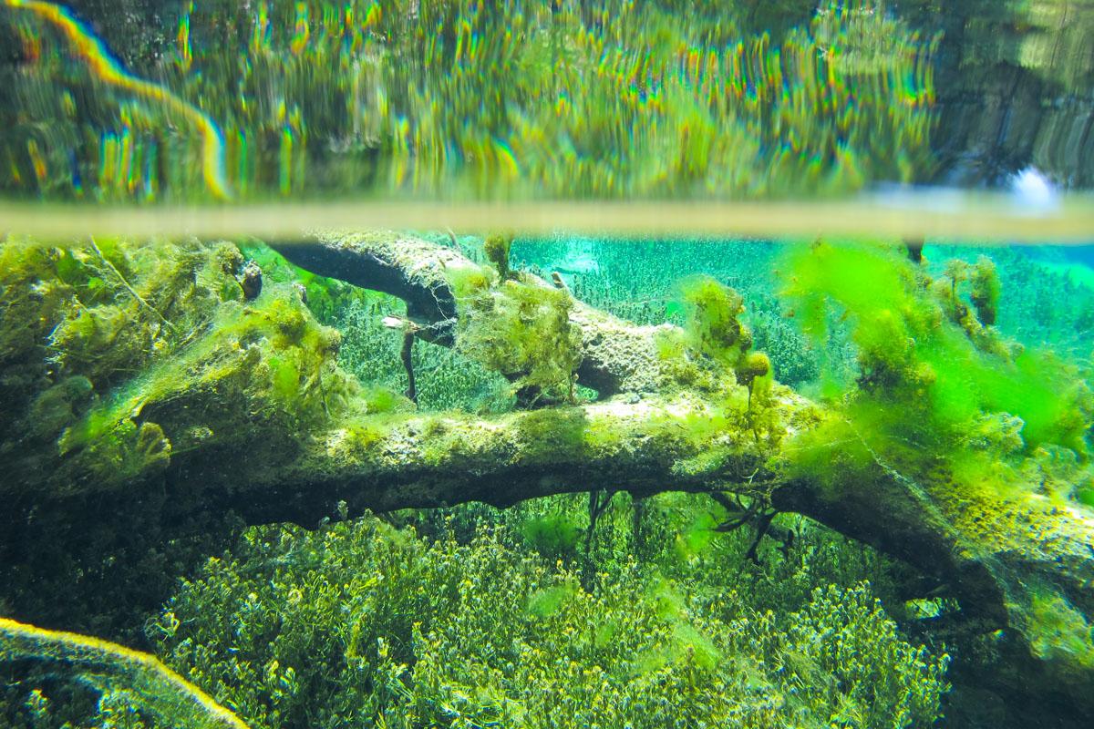 Christlessee über / unter Wasser