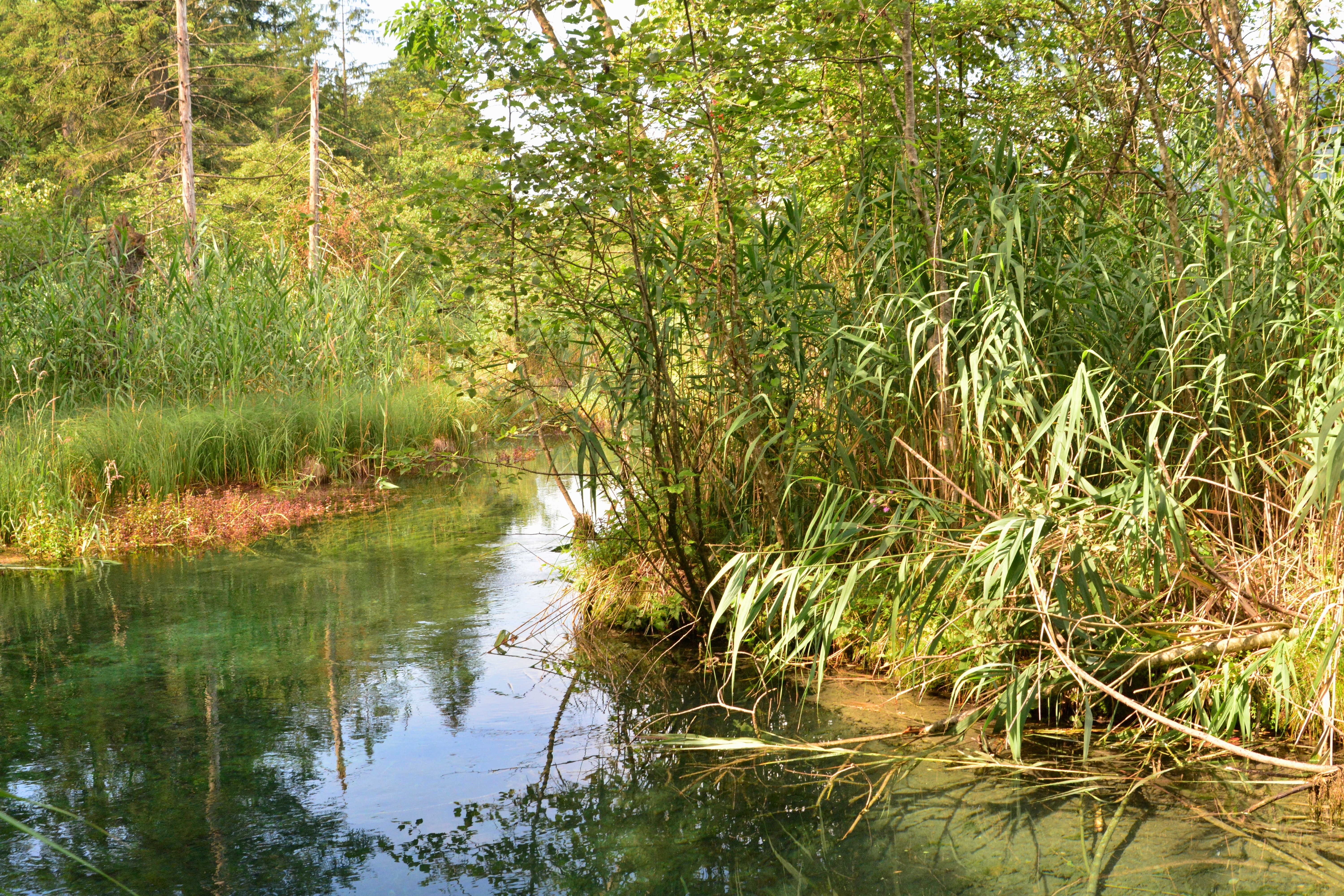 Wasserland Loisachtal