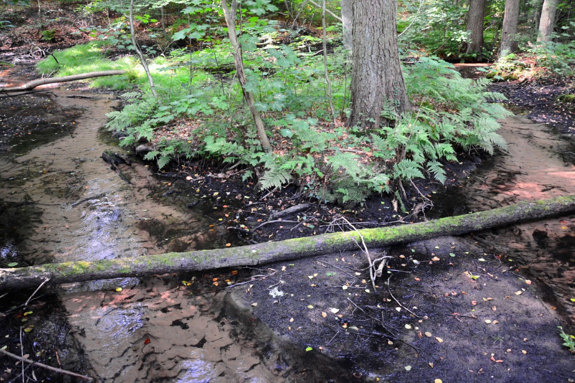 Naturbelassene Bachläufe