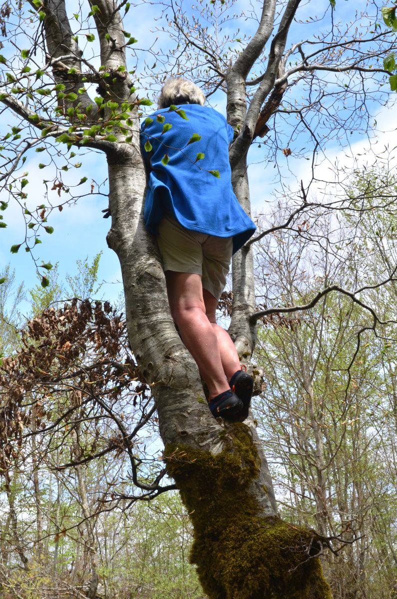 Claudia knipst auf Baum