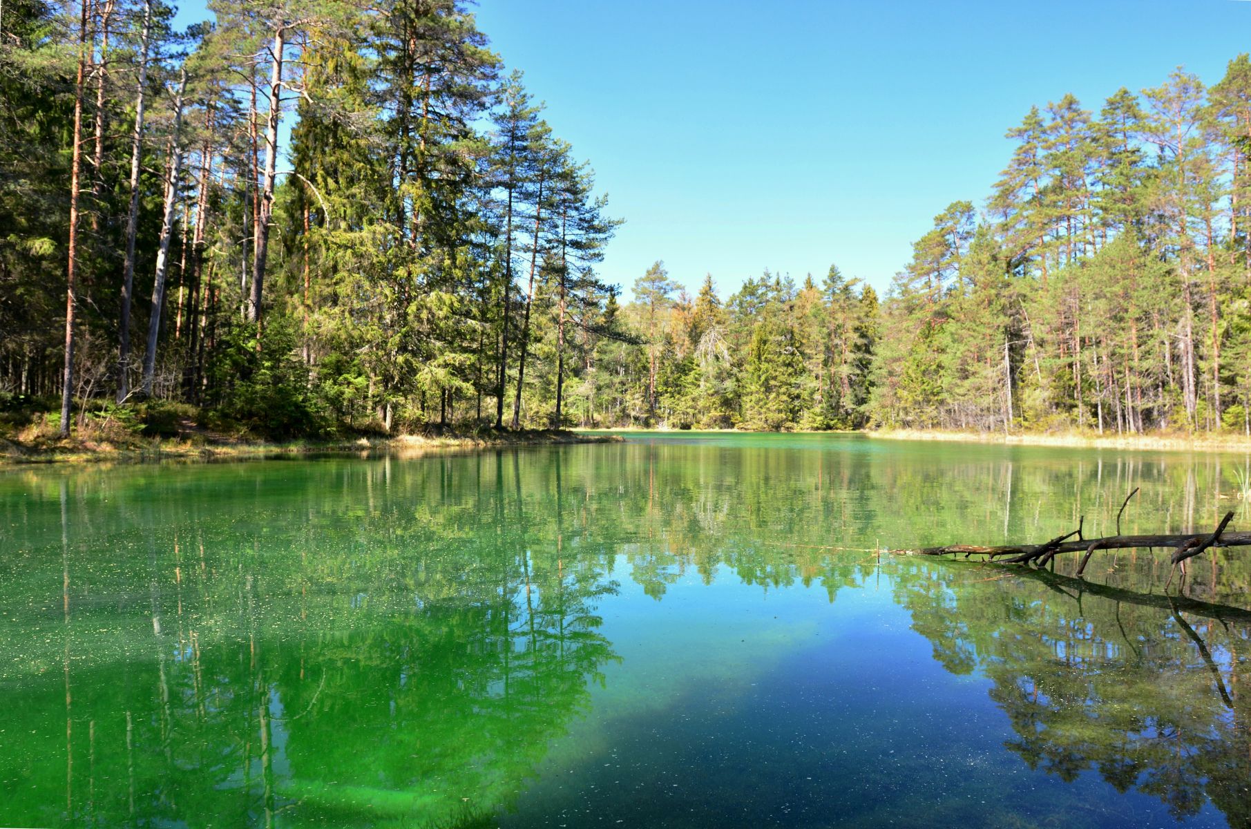 Skand 2019 (2882) Est  bei Äntu grüner See u.a