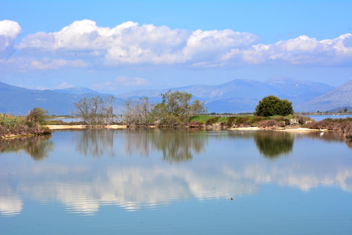 Feuchtgebiete Ambrakischer Golf - Salaora