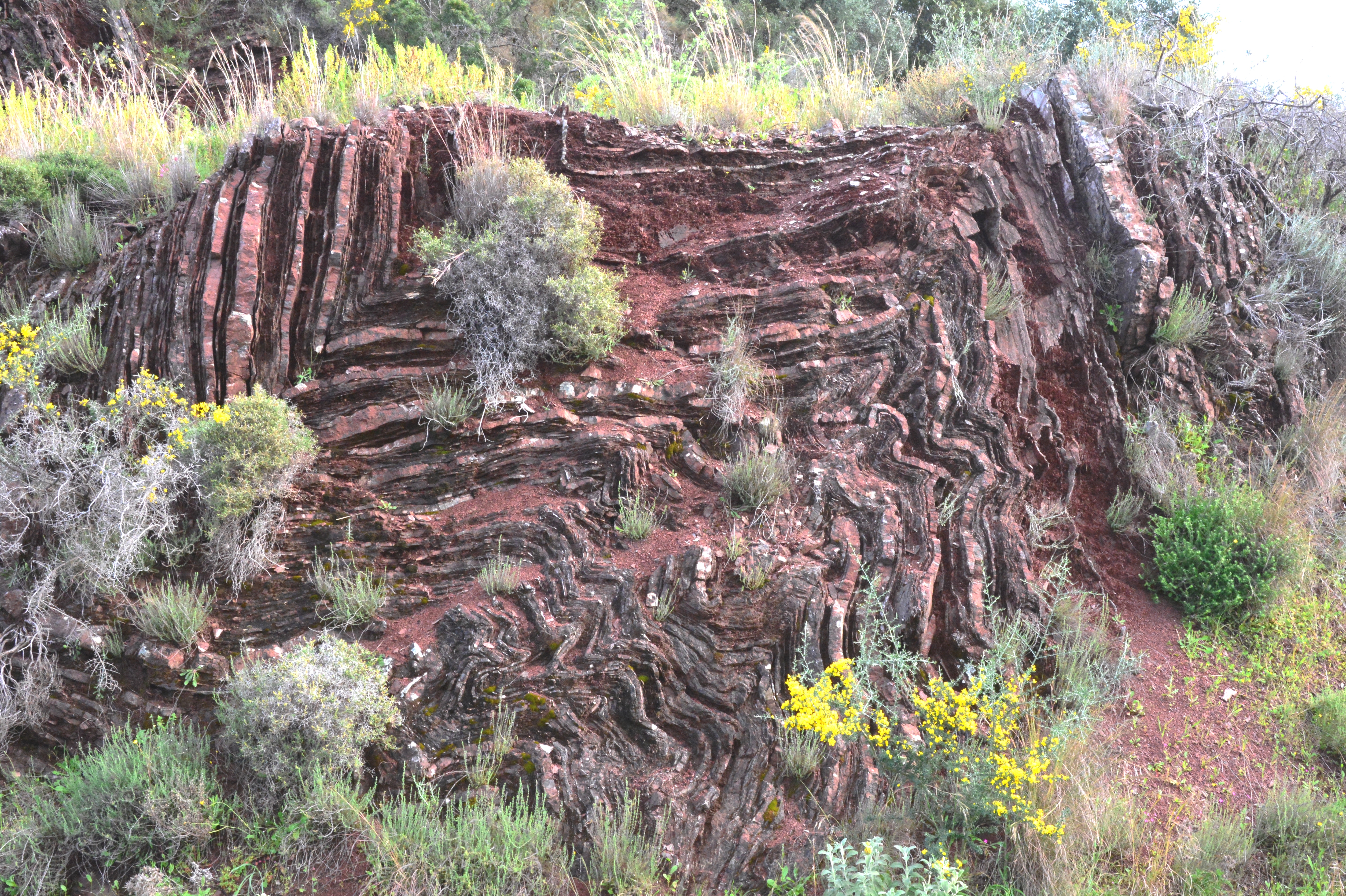 Tektonische Gesteinsfaltung