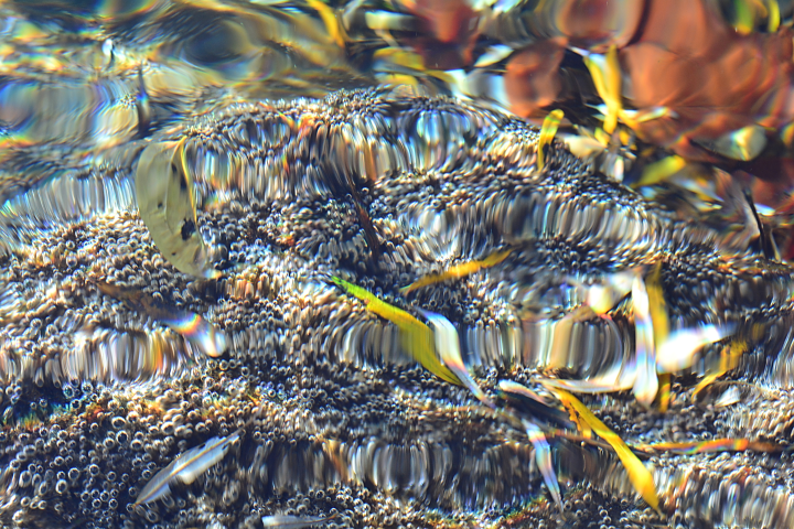 Wasser fotografieren - einmal anders - 3.docx-image14