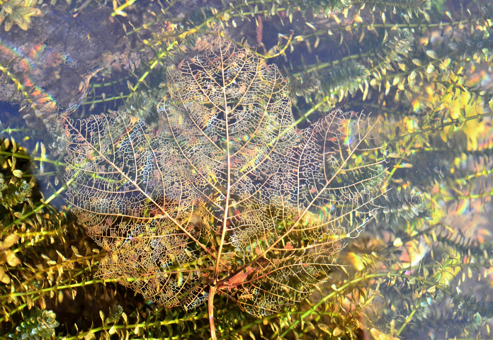 Wasser fotografieren - einmal anders - 3.docx-image15