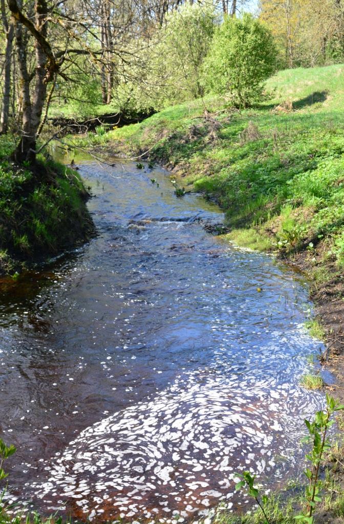 Schlucklöcher im Bach a