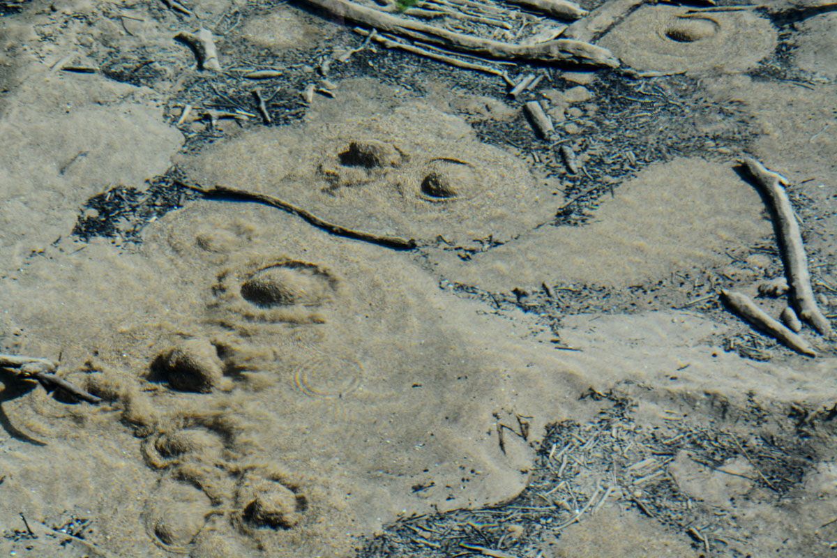 Sandvulkane - Quelle im Werntal