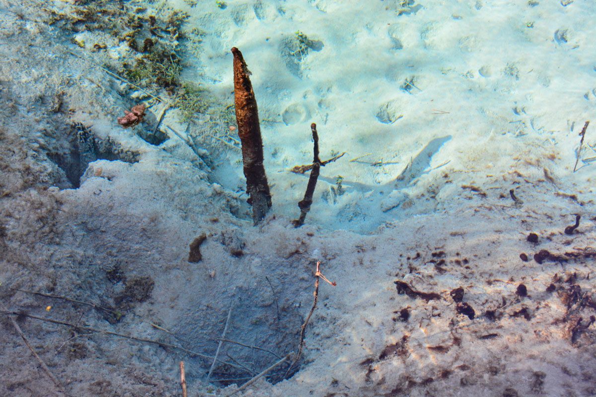 Sedimente an Wasseraustrittsstelle