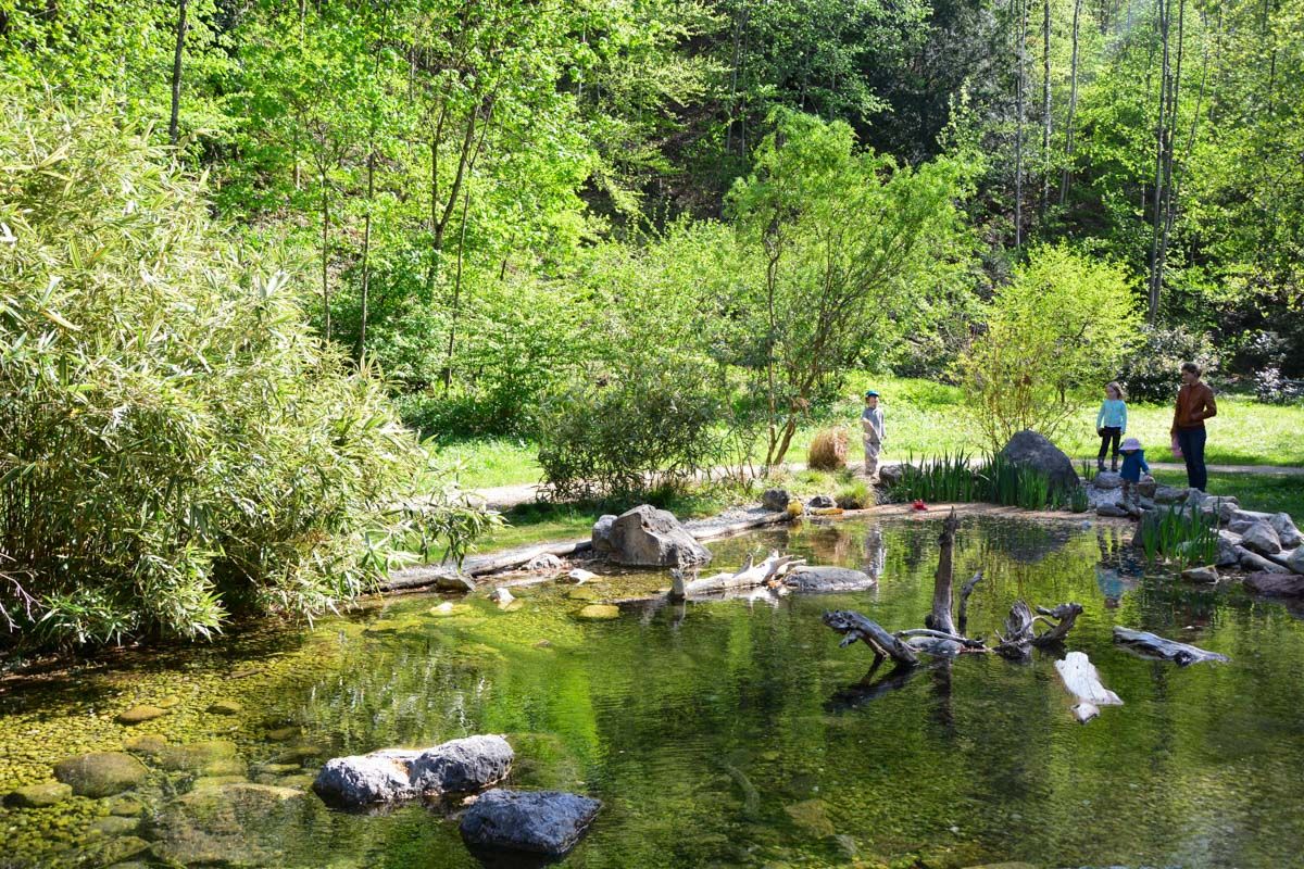 Teich der Kirchholzquelle